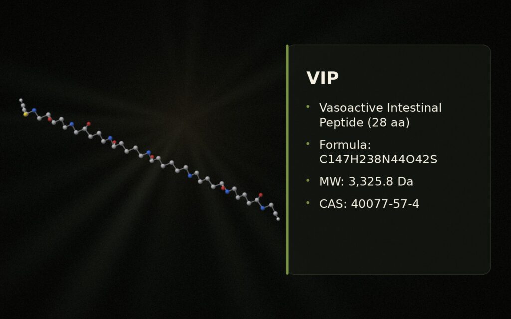 VIP (Vasoactive Intestinal Peptide): Research Guide to Mechanism, Findings & Regulatory Status